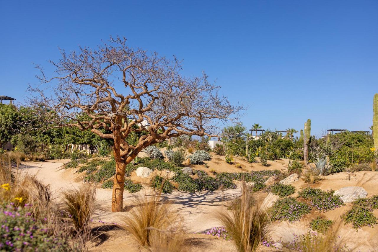 Rancho Pescadero Todos Santos Exterior foto